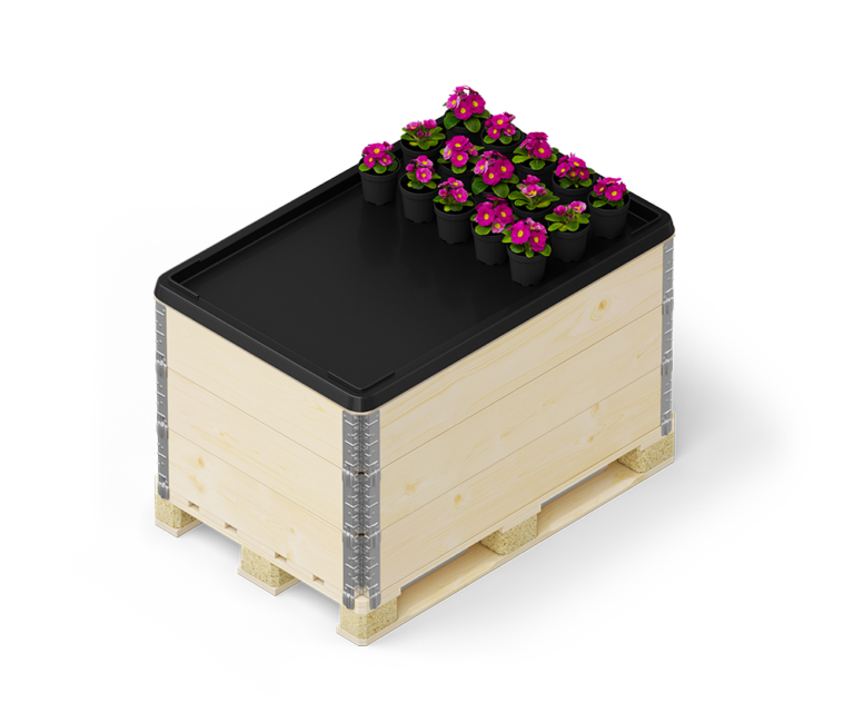 120×80-Natural_on_Pallet