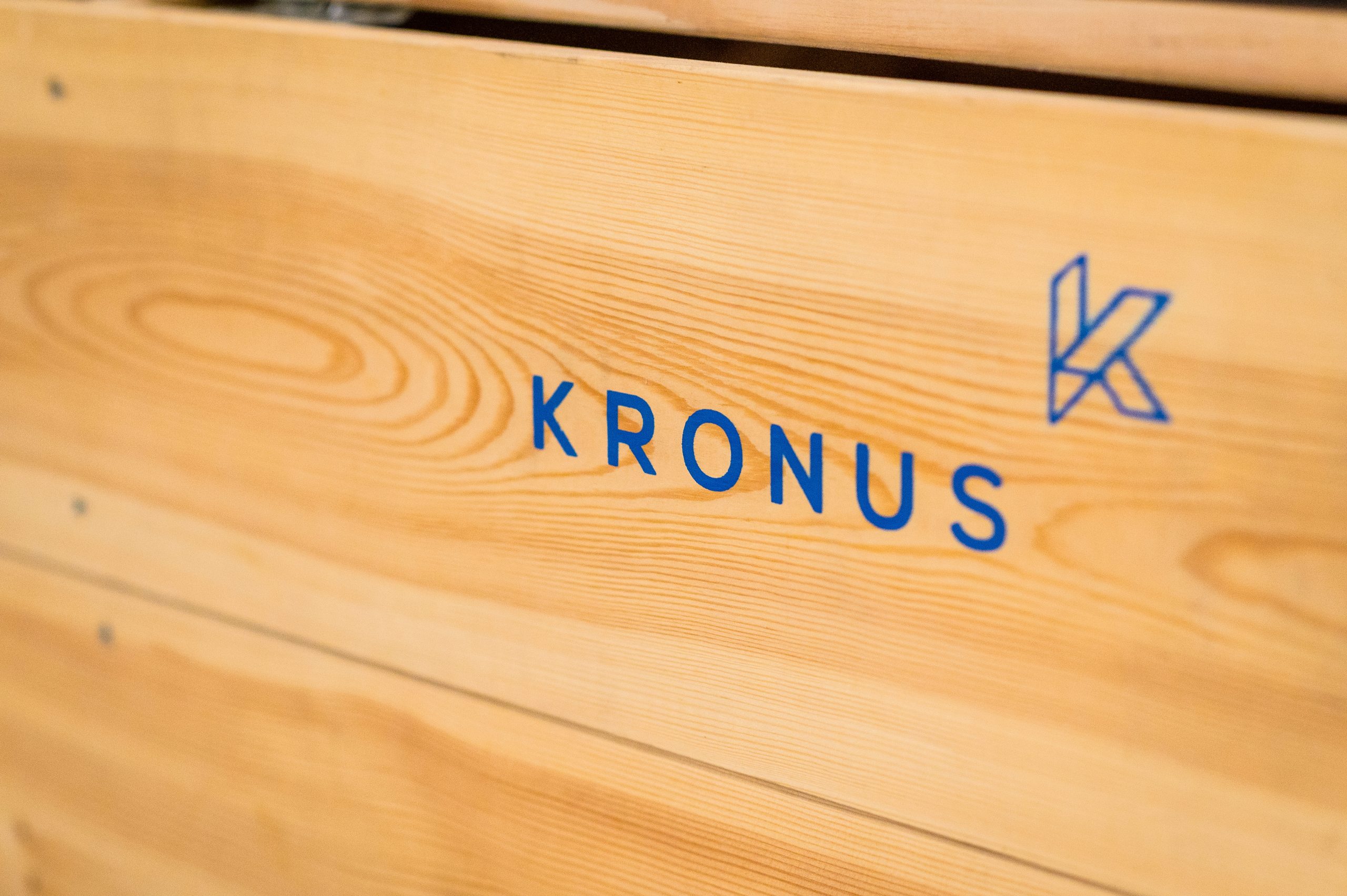 kronus-daugulu-iela-razosana-bez-cilvekiem-476-scaled
